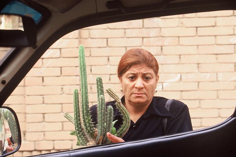 "Lady with cactus" from Hala Elkoussy, b. 1974, Cairo - Peripheral, 28 minute video, Peripheral Stories and Peripheral Landscapes 1-5, series of five digital images, 2005